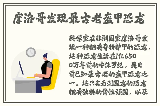 国产精品va在线播放