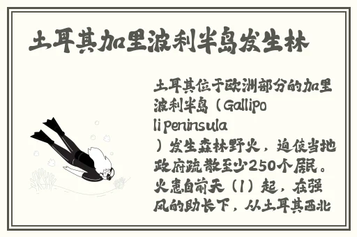 中国14may18_XXXXXL